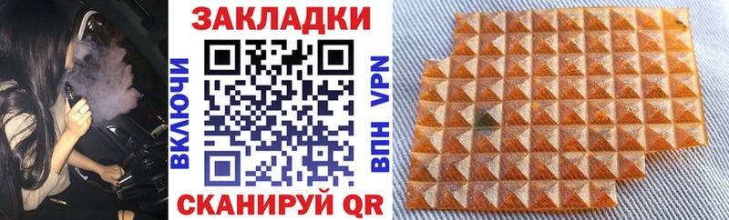 Псилоцибиновые грибы Рузаевка