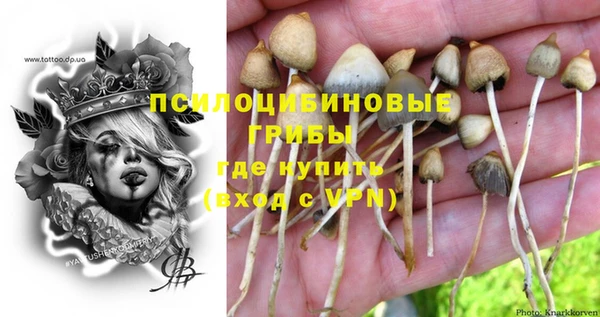 спайс Аркадак