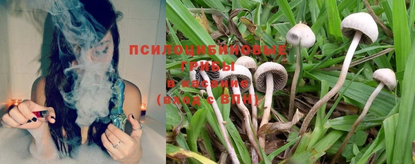 винт Армянск