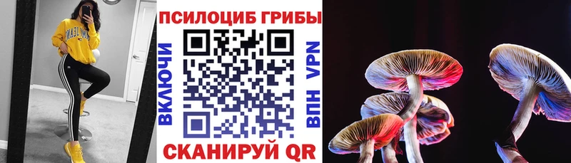 магазин  наркотиков  Рузаевка  Галлюциногенные грибы Magic Shrooms 